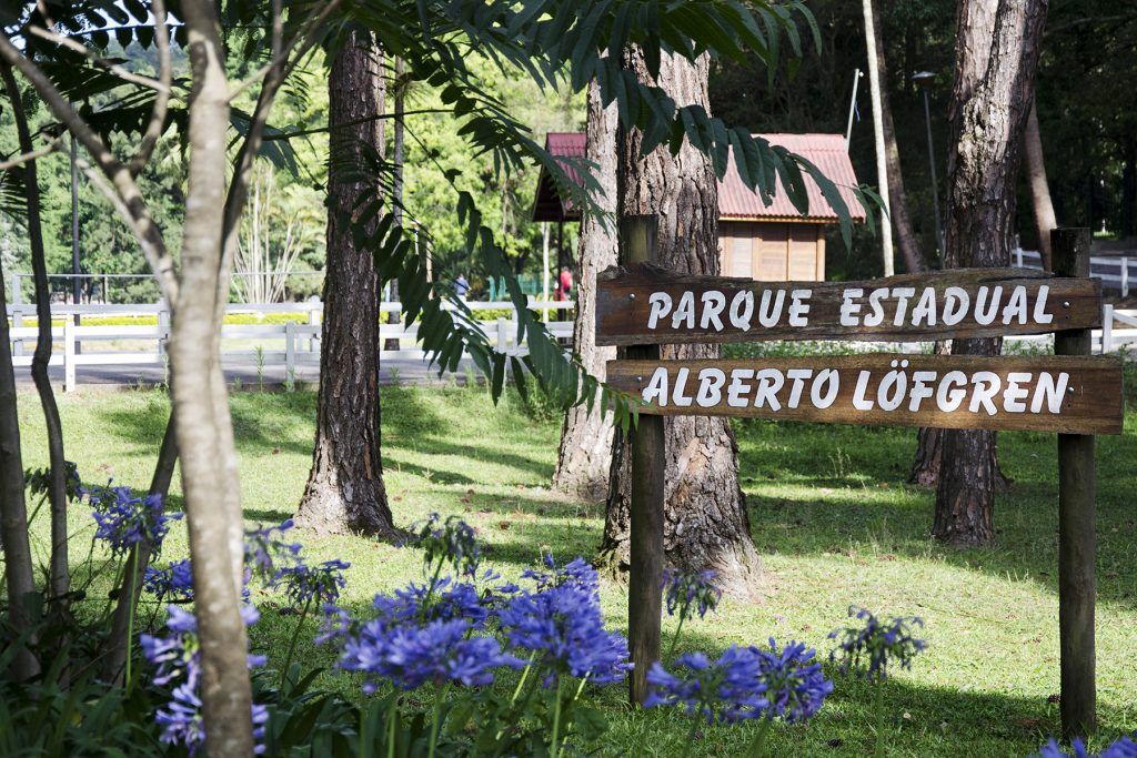 Parque_Estadual_Alberto_Löfgren