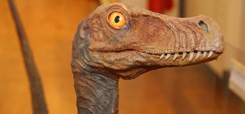 exposições e museus na USP